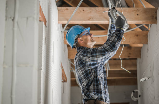 Best Industrial Electrical Services  in Long Prairie, MN