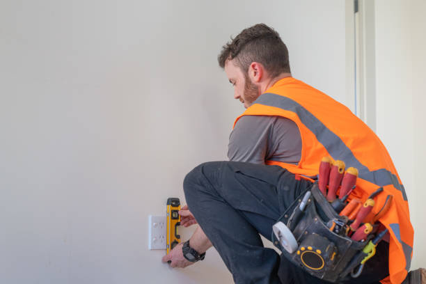 Best Local Electrician Companies  in Long Prairie, MN